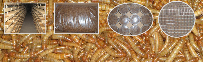 ���ں����ŵ�ѳ�����Ʒ���޹�˾