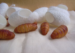 ���浰������