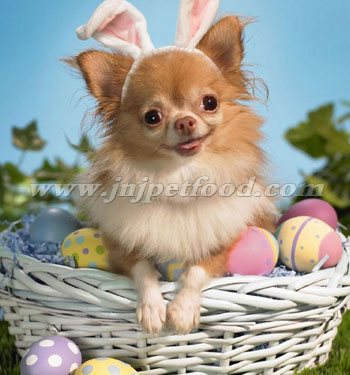 ��ŵ�ѹ�������ȫ�����Ӫ��