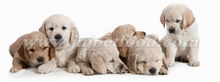 С����������֪