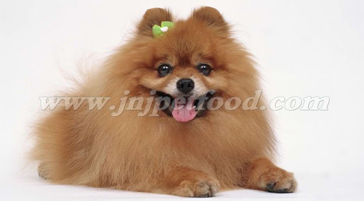 ���칷����ë��ô��