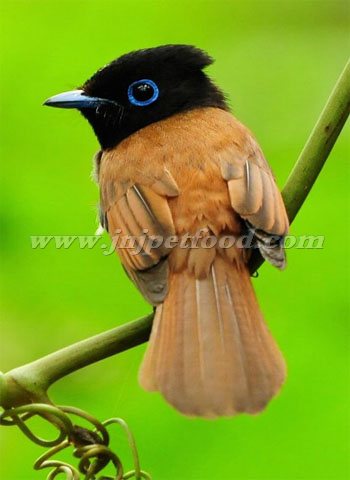 ����������������������