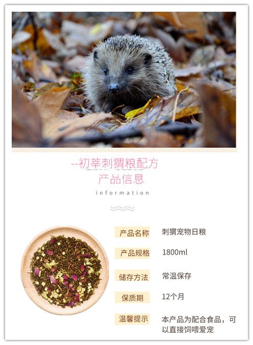 ��⬳�������