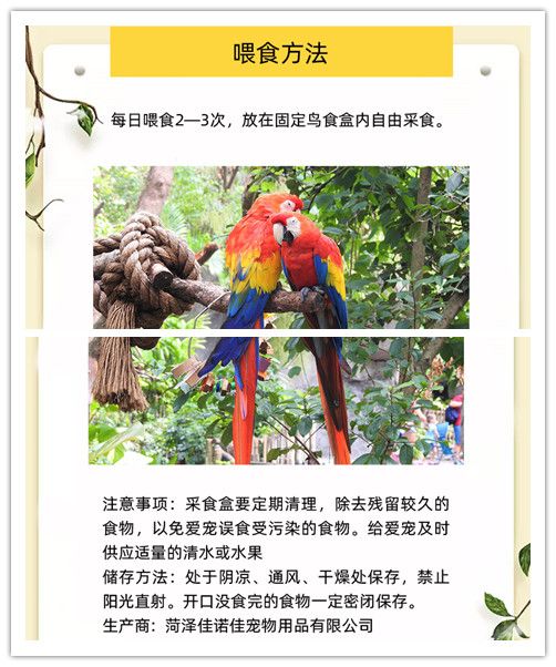 �д���������