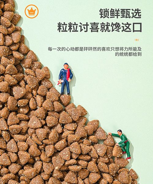 ����ɭȮ��-������ϵ��