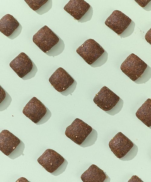 ����ɭ����ʳƷ