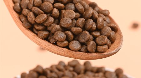 ����ɭè��-����������ζ