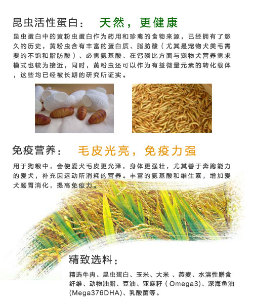 ø������ϵ��4-12������èè��