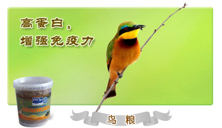 �ߵ�������