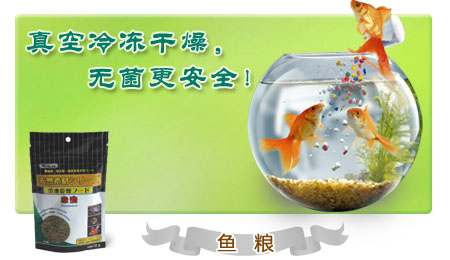 ��ȫ��������